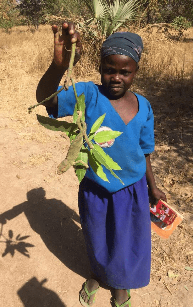 Clément – Tchad – Mars 2020