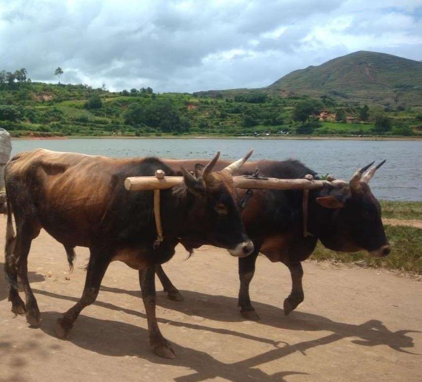 Myrianna – Madagascar – Mars 2020