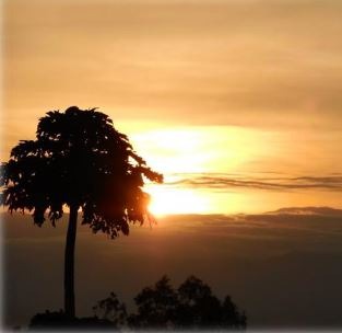Pierre – Burundi – Mai 2014